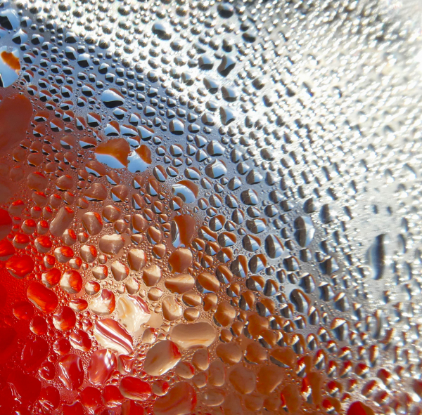 'Condensed Beauty' by Angela Owen, Worcester Area u3a